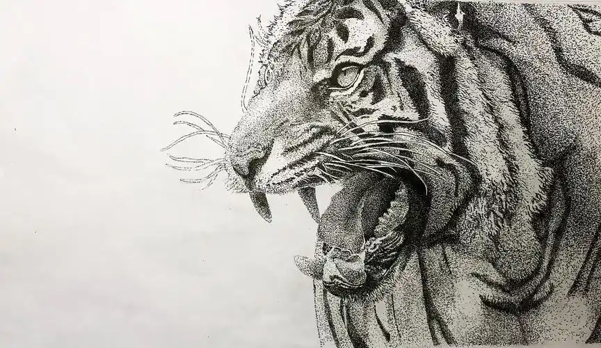 点绘猛虎 - 原创作品 - 站酷(zcool)