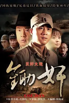 锄奸(2010年杜淳主演电视剧)