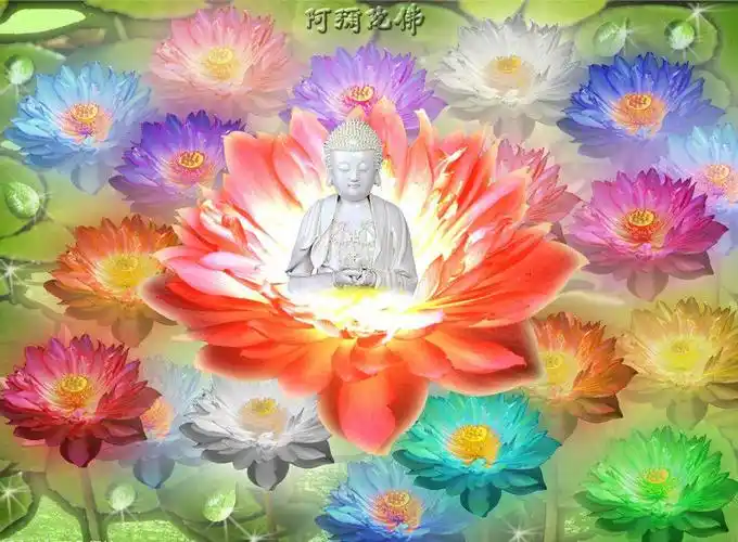 《慧灯之光》——壹:第八,菩提心略修法