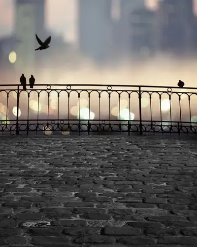 摄影背景布高清大图影楼棚拍照片常用的背景素材婚纱摄影背景67p