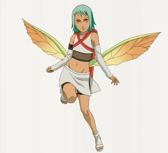 火影忍者枫「七尾人柱力」忍者介绍