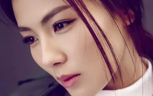 电脑壁纸 明星 大陆明星 知性美女刘涛气质时尚写真