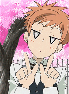 桜兰高校ホスト部 常陆院光 常陆院馨 美少年 动漫 二次元 人物 表情