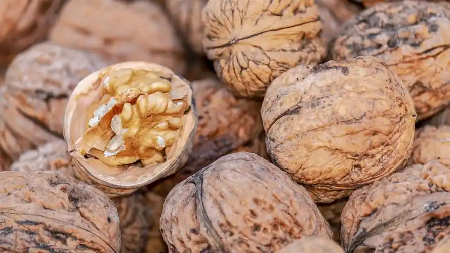 干果核桃图片(1/12)