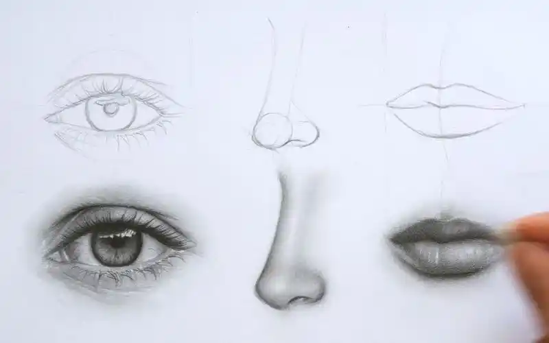 素描人物面部五官的画法小白必看