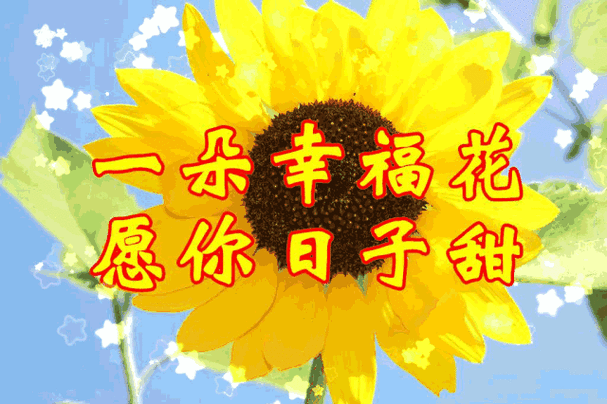 三八妇女节祝女性朋友幸福快乐