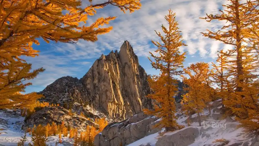 2017年bing官方主题第十一波,高清图片,电脑桌面-壁纸族