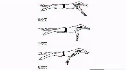 自由泳,蛙泳,蝶泳「换气时机」:避免换气带来的动作停滞