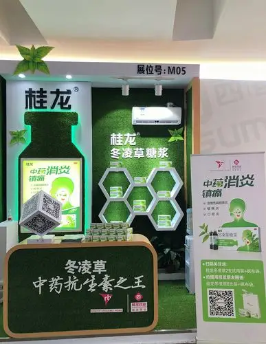 2019西普会利洁时桂龙药业开启品类管理价值挖掘20时代