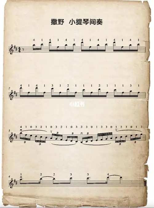 撒野 | 绝美间奏 | 人类高质量小提琴谱