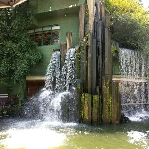 志莲净苑景观绿植及置石造景