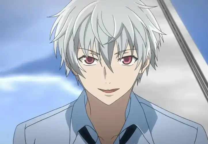 盘点动漫中的白发男角色