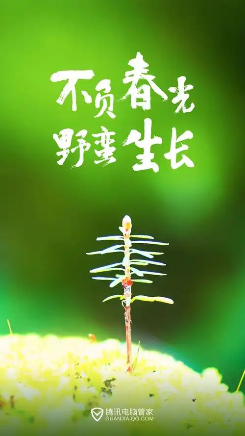 萌芽绿芽发芽生长_不负春光野蛮生长_手机壁纸_励志壁纸750×1334 ui