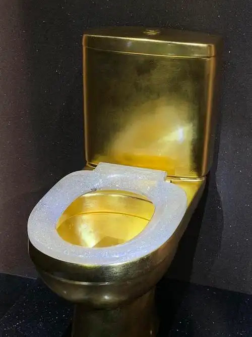 「最多钻石马桶」镶嵌了超过4万颗钻石