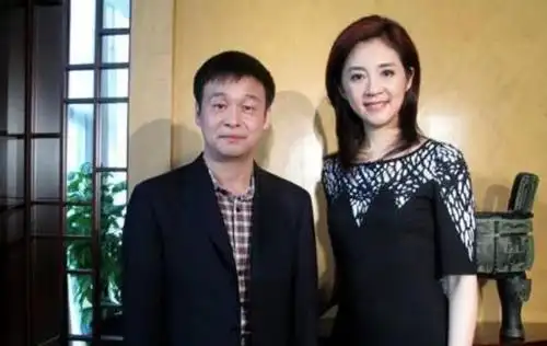 却挺着大肚子挤走丈夫13年原配,今成这 样|央视|许戈辉|主持人_新浪