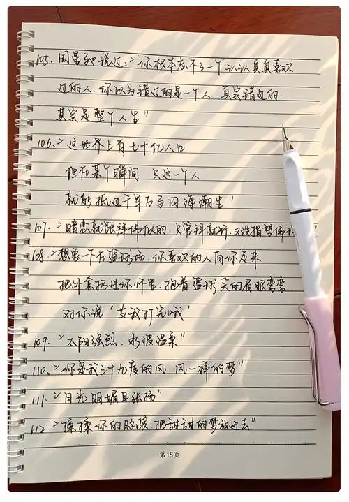 手写体大气霸气练字帖女生字体练字漂亮行楷行书行草练字本