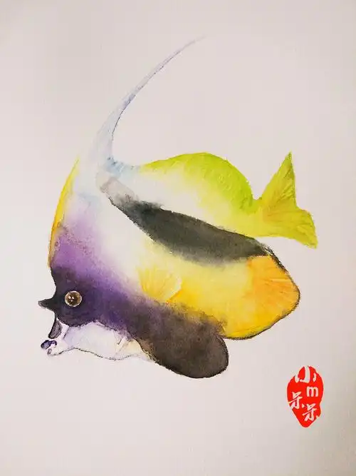 【水彩】鱼 | 黑白关刀鱼