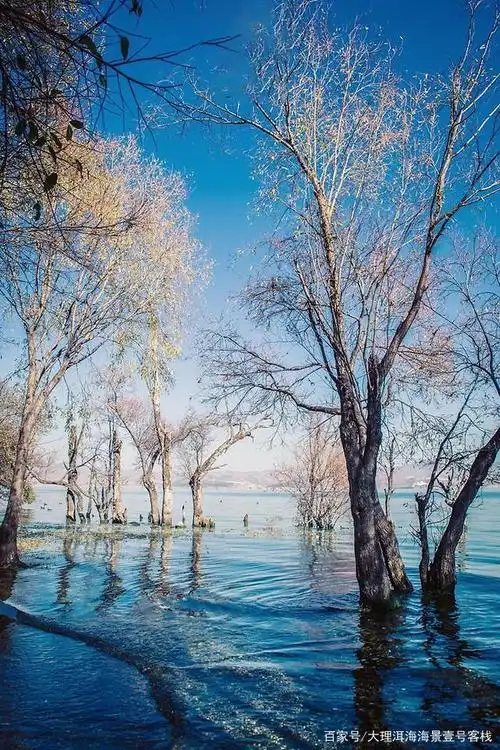 被藏进大理的,除了风景,还有真实的你……