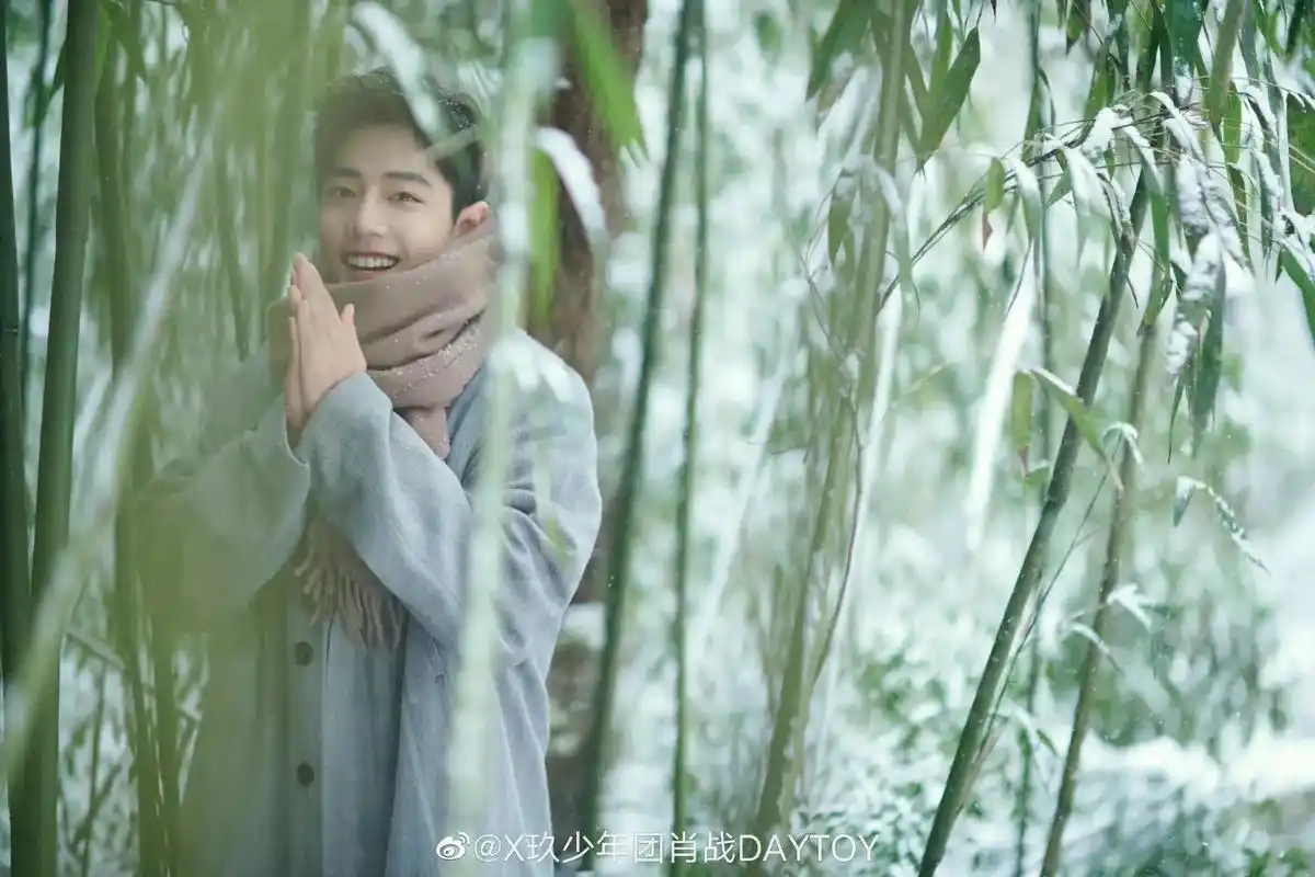肖战 #肖战冬至竹林大片 - 抖音