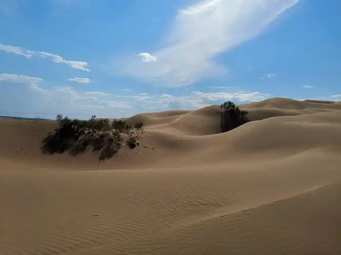 内蒙草原沙漠行