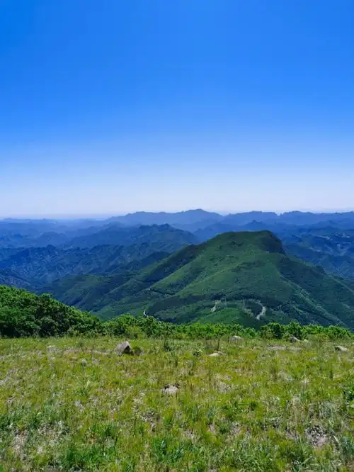 六月的高山草甸遇见铃兰盛开