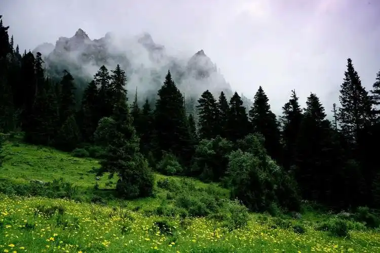 第一髙峰,海拨4920米,在迭部县北部卡坝乡境内,也是秦岭山脉最髙峰,又
