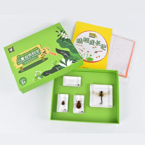 包埋式树脂动物标本 蜻蜓成长记 从卵到成虫各个阶段形态特征教具