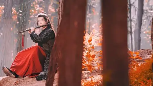 肖战魏无羡 - 堆糖,美图壁纸兴趣社区