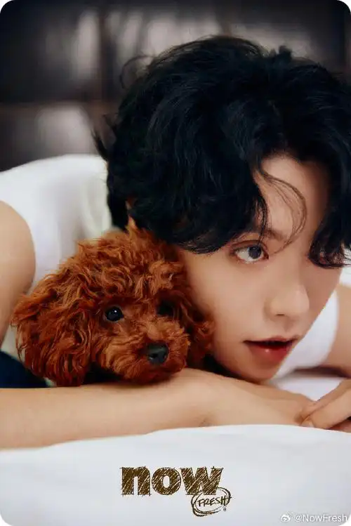 nowfresh新煮张发起人肖宇梁##now fresh寻找饭搭子