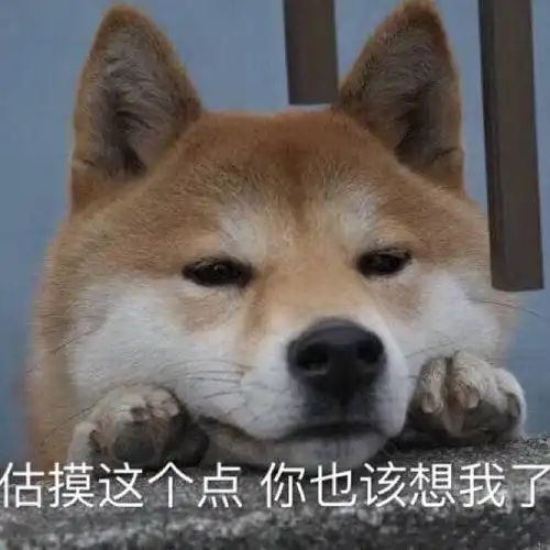 天天想着撩男朋友结果反被撩附表情包合集