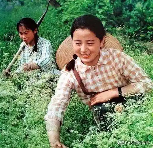 怀旧老照片:六七十年代的农村生产队是这样的,还有多少人记得?