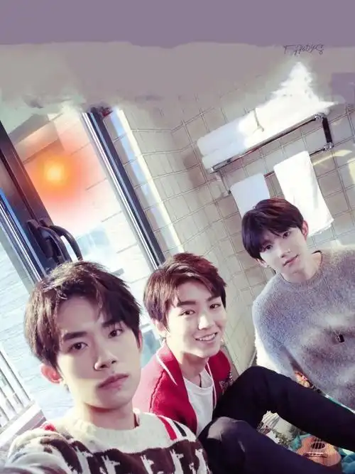 今日分享三小只壁纸四字弟弟就很帅