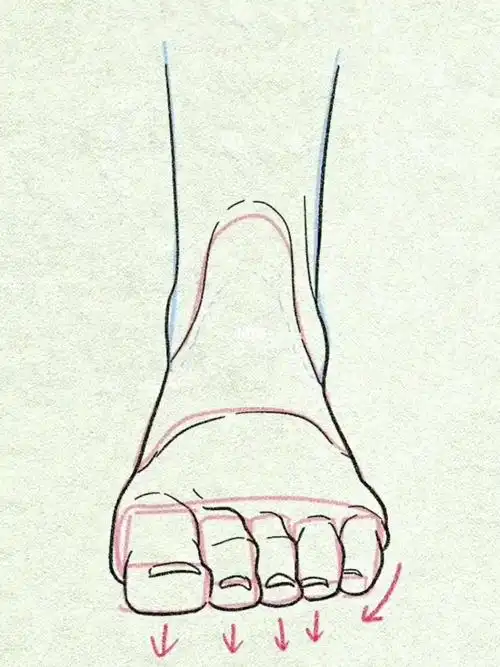 脚丫正面绘画教程
