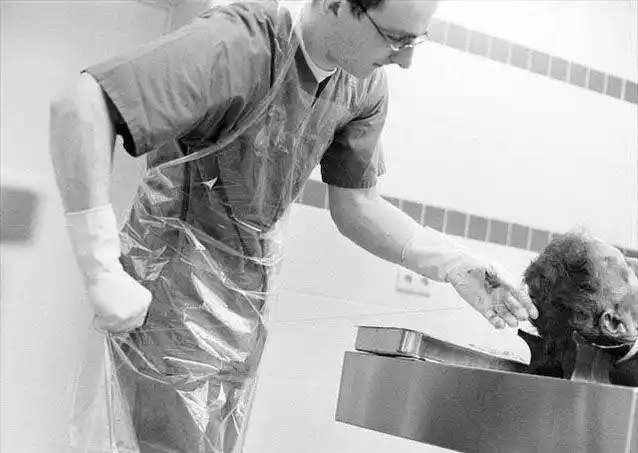 让尸体说话实拍法医处理尸体全过程