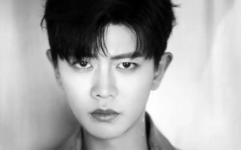 任嘉伦星星贴纸时尚中国风套装迷人写真,大陆明星-回车桌面