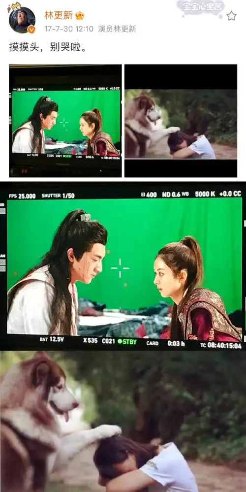 赵丽颖林更新早期微博互动