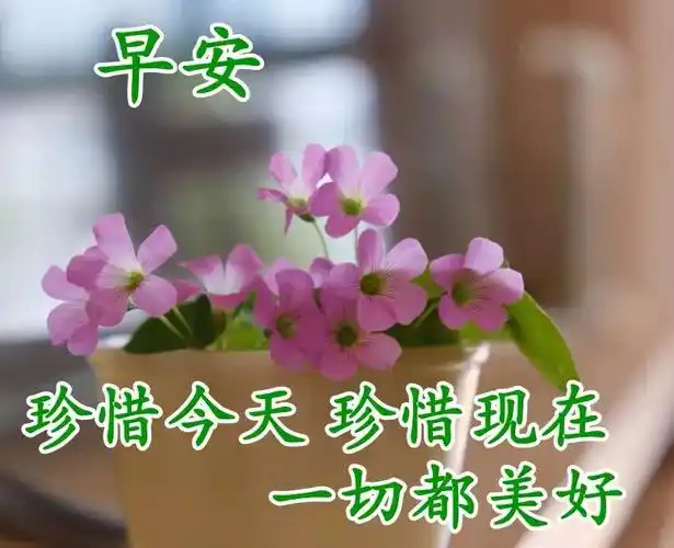 撩妹早安暖心话2020年5月13号早上好图片