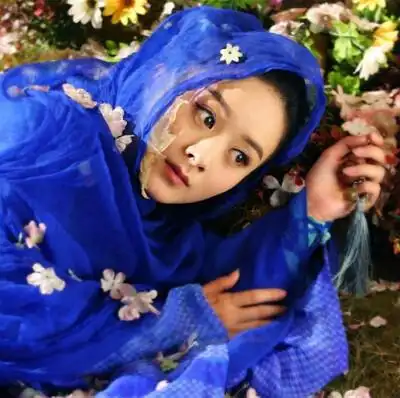 赵丽颖花千骨头像