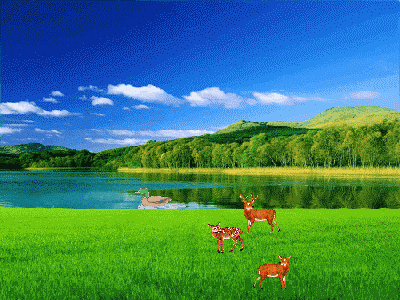 400_300gif 动态图 动图