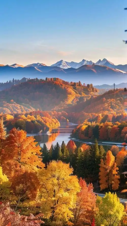 绝美枫叶壁纸秋日韵味十足