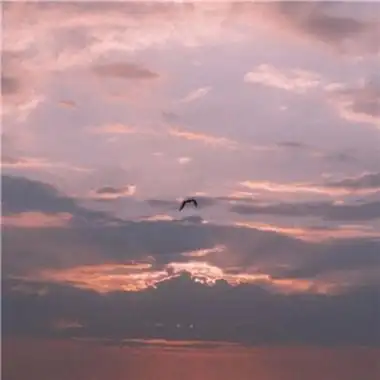 微信唯美风景头像小清新每一个月亮里都藏着一份喜欢