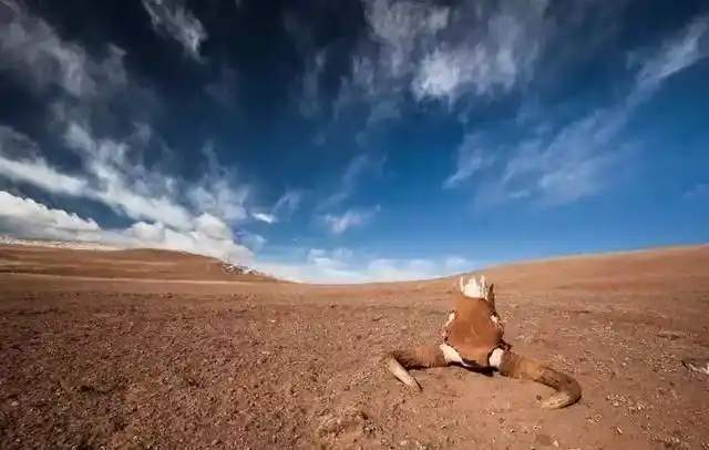 无人区内耗费40余人力历经29小时搜寻失踪女子人民至上