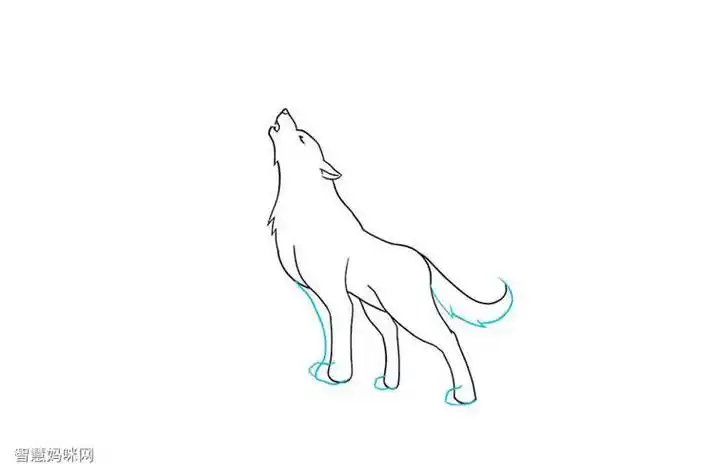 狼侧面身体简笔画