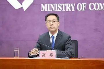 【商务部新闻发言人 高峰】