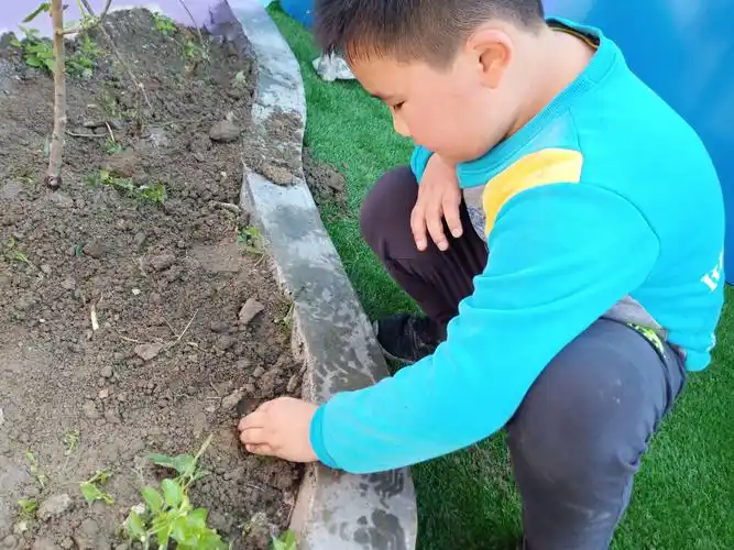 护绿,植绿,我种树,我快乐《拥抱春天,播种绿色》植树节活动