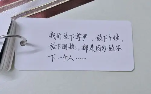 我们放下固执,放下个性,放下尊严,都只因为,放不下一个人.