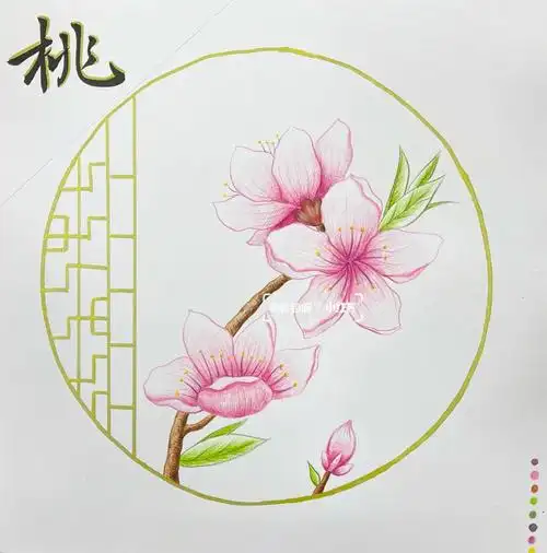 彩铅手绘  #彩铅  #桃花手绘