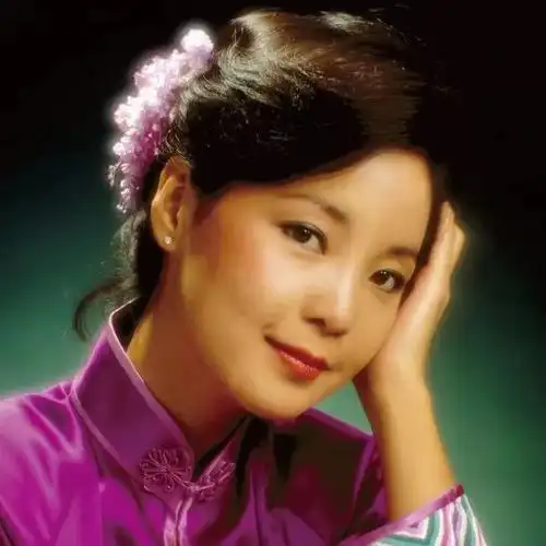 精选四个女歌手100首歌,听听怀旧的声音