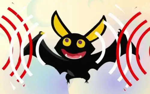 声音定位的新模型穆勒认为,蝙蝠能在复杂的自然环境中航行,可能与这种