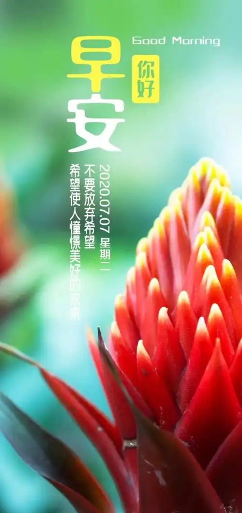 励志图片带字唯美人物唯美早安励志带字图片